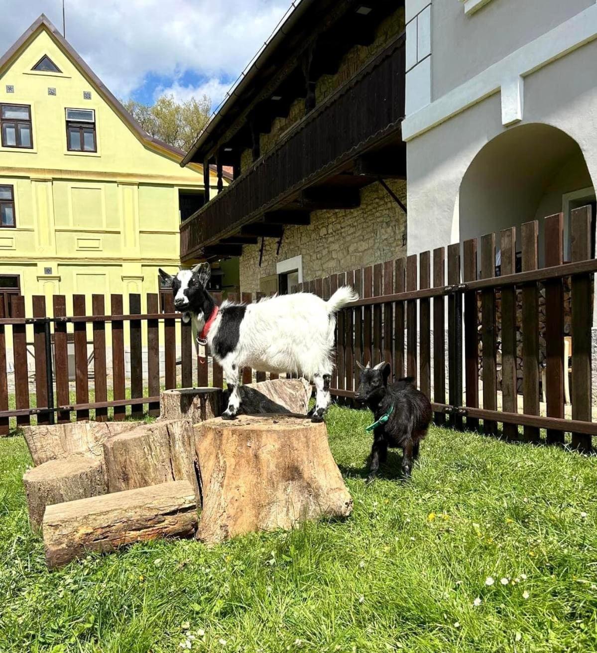 Pivovar Mlyn Štětí Buitenkant foto